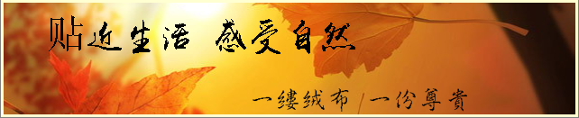 一縷絨布，一份尊貴